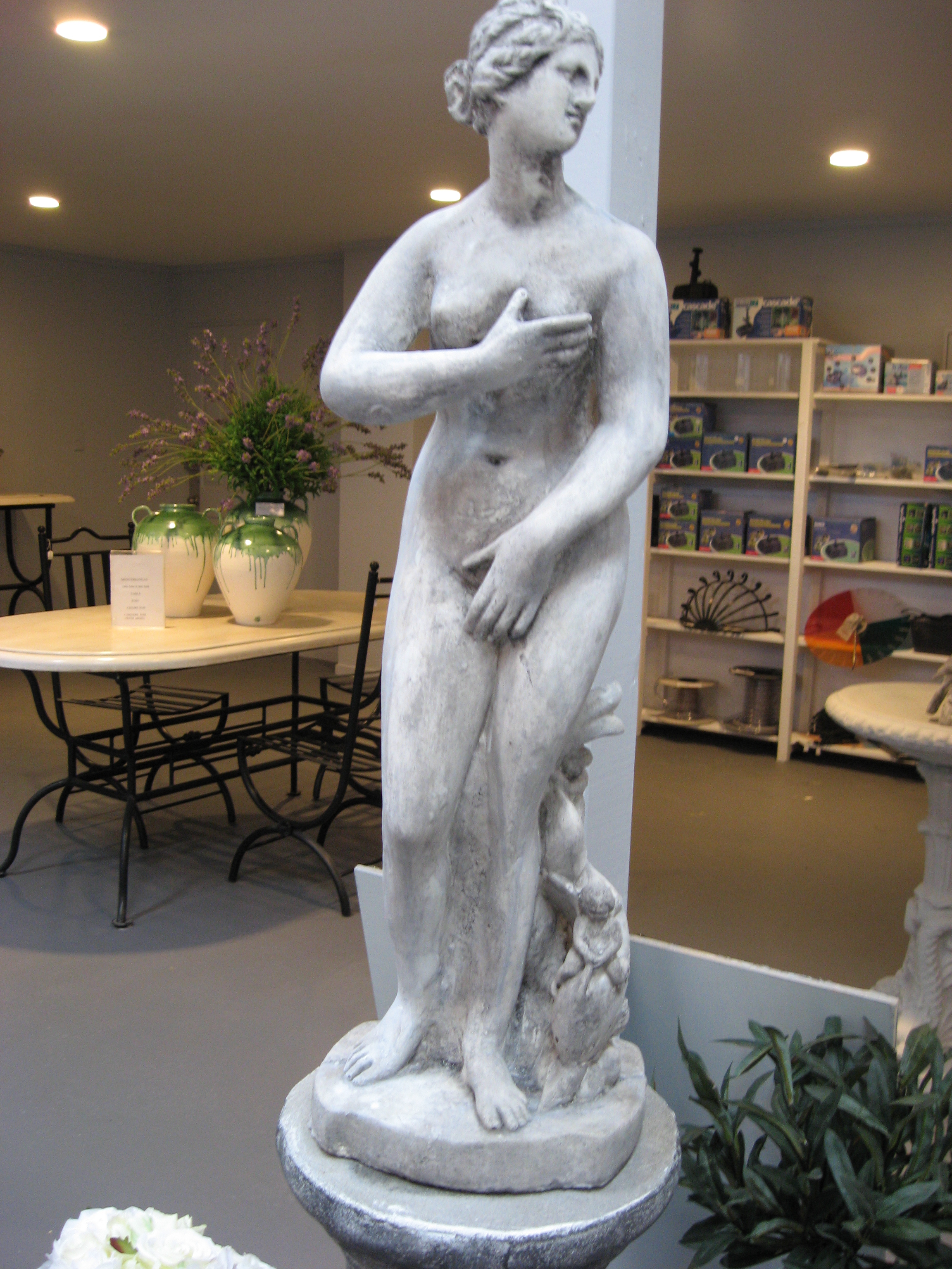Medici