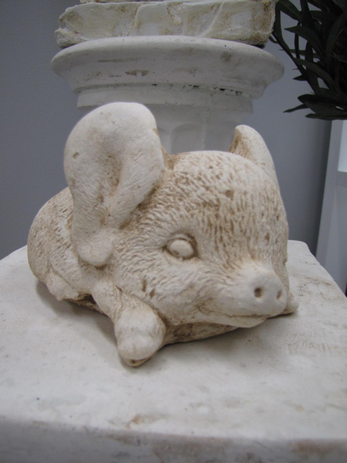 Pig lying Down