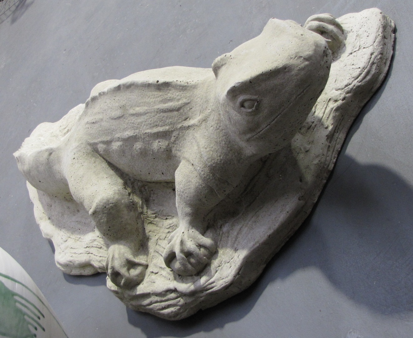 Tuatara