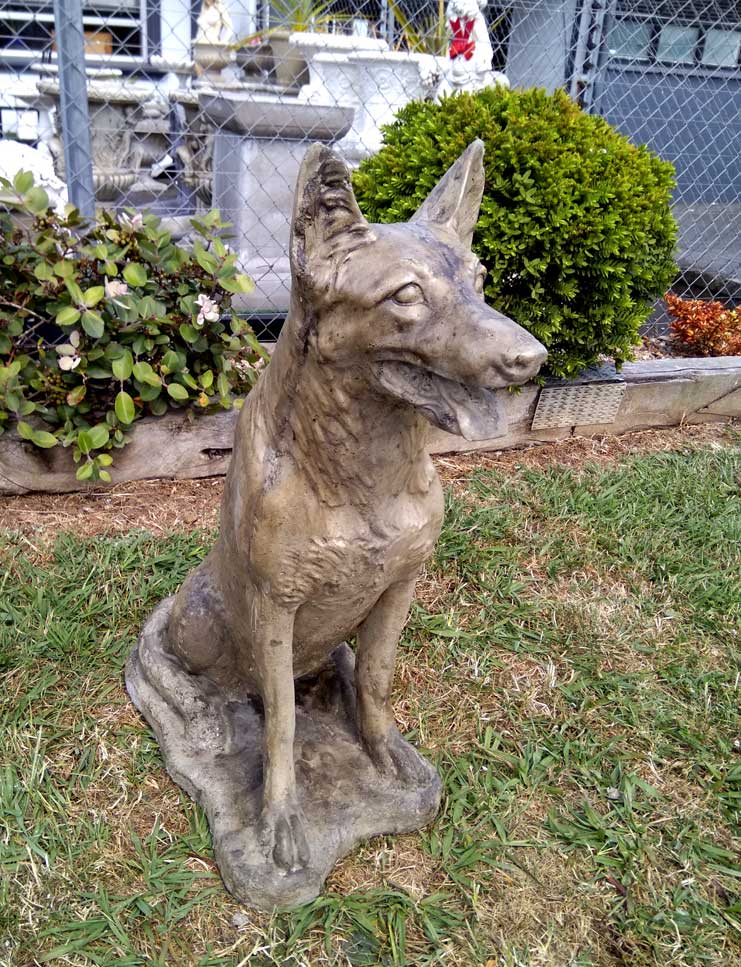 Dog German Shepherd