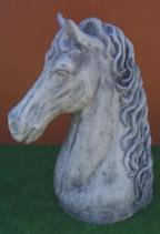 Horse Head