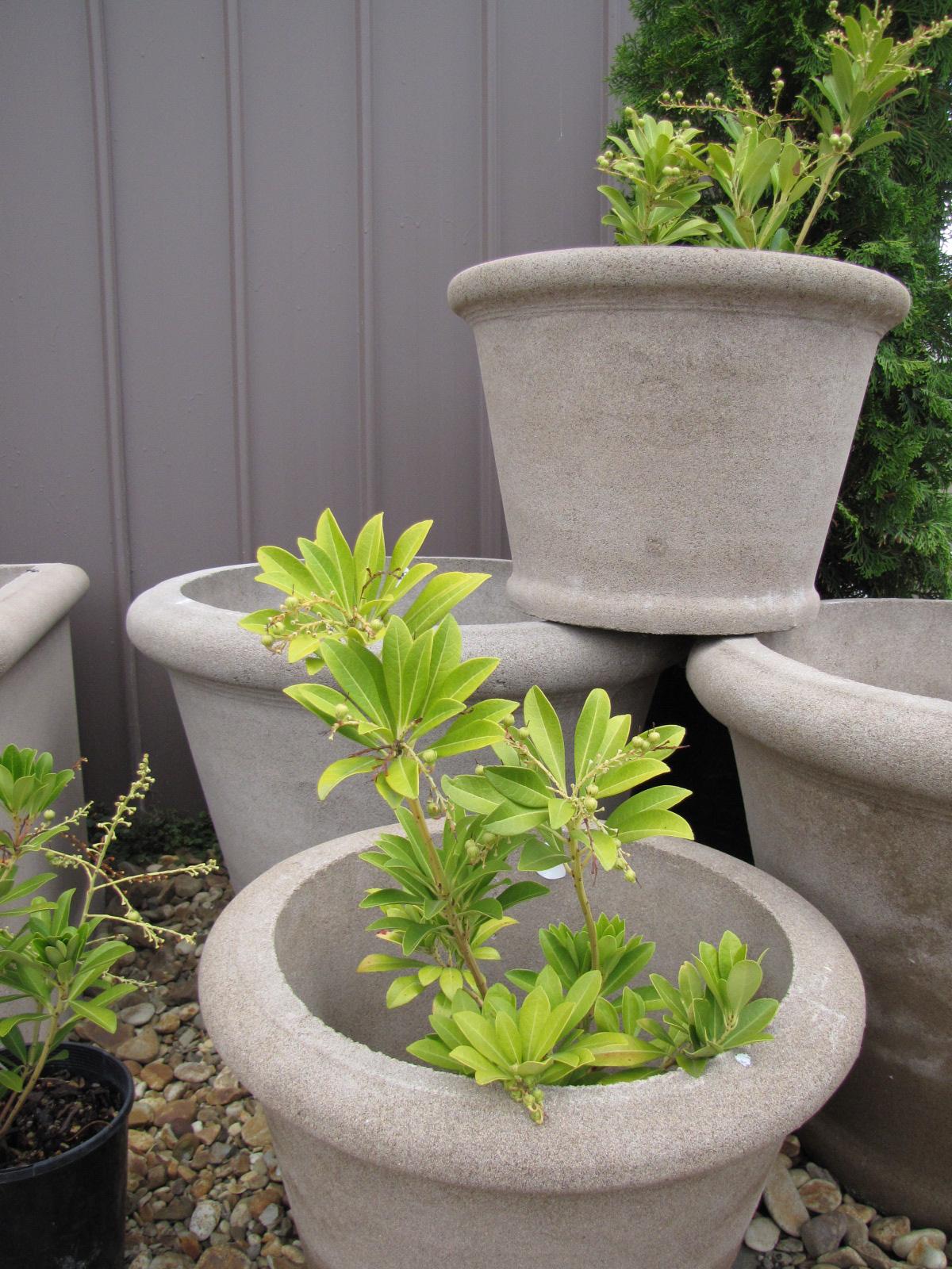 Planter Round R6